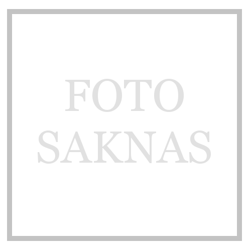 Coleophora paradrymidis
